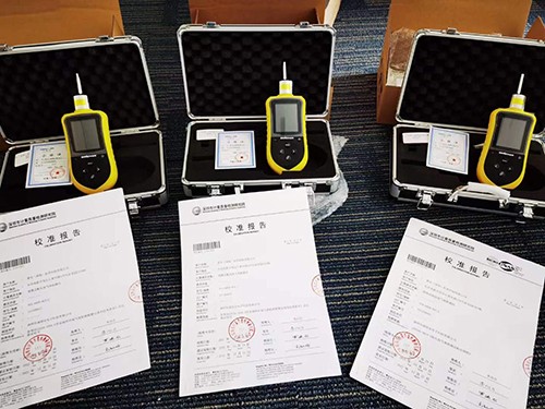 便攜式二合一氣體檢測儀