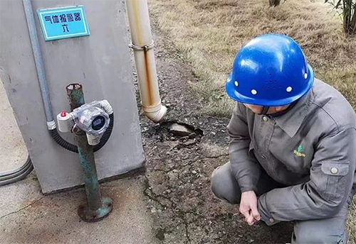 丙烷檢測(cè)儀售后服務(wù)包括哪些
